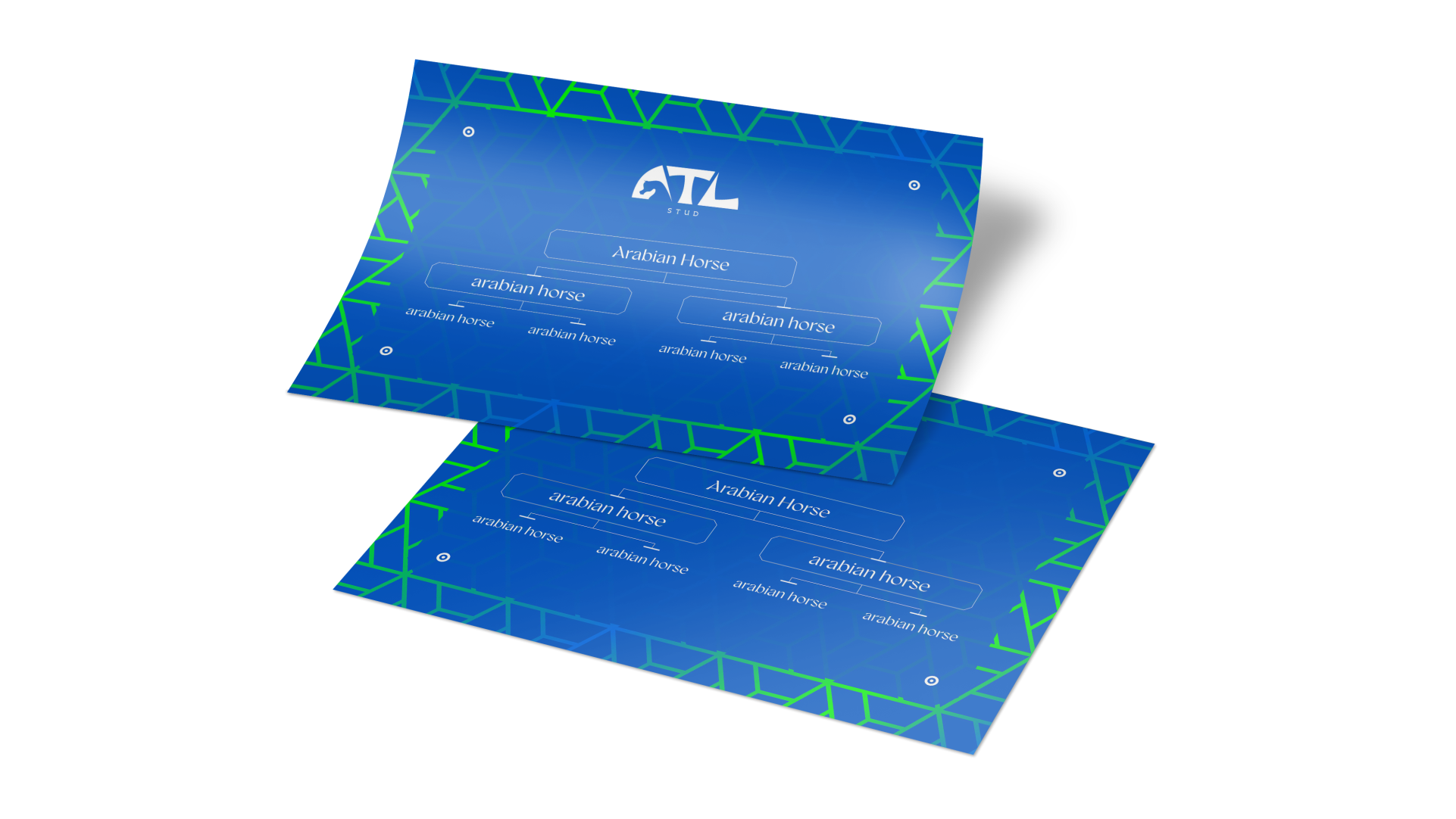 ATL STUD LOGO