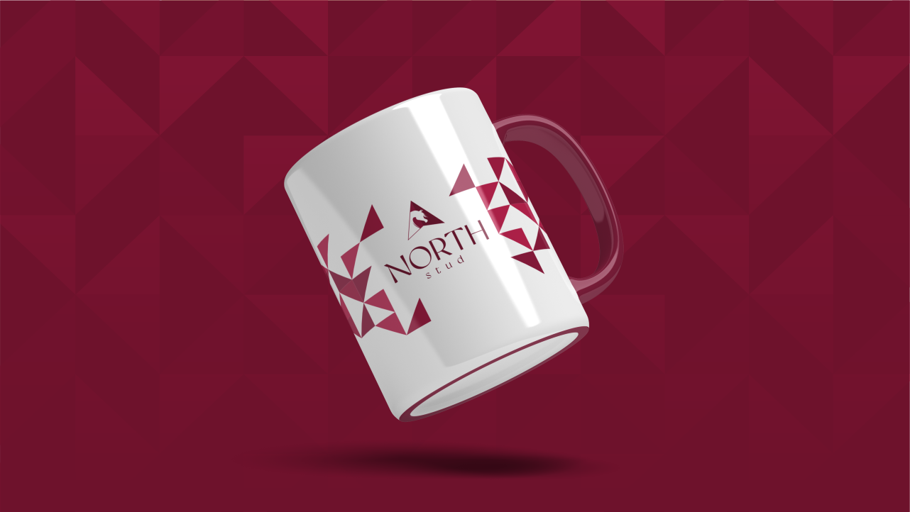 NORTH STUD LOGO