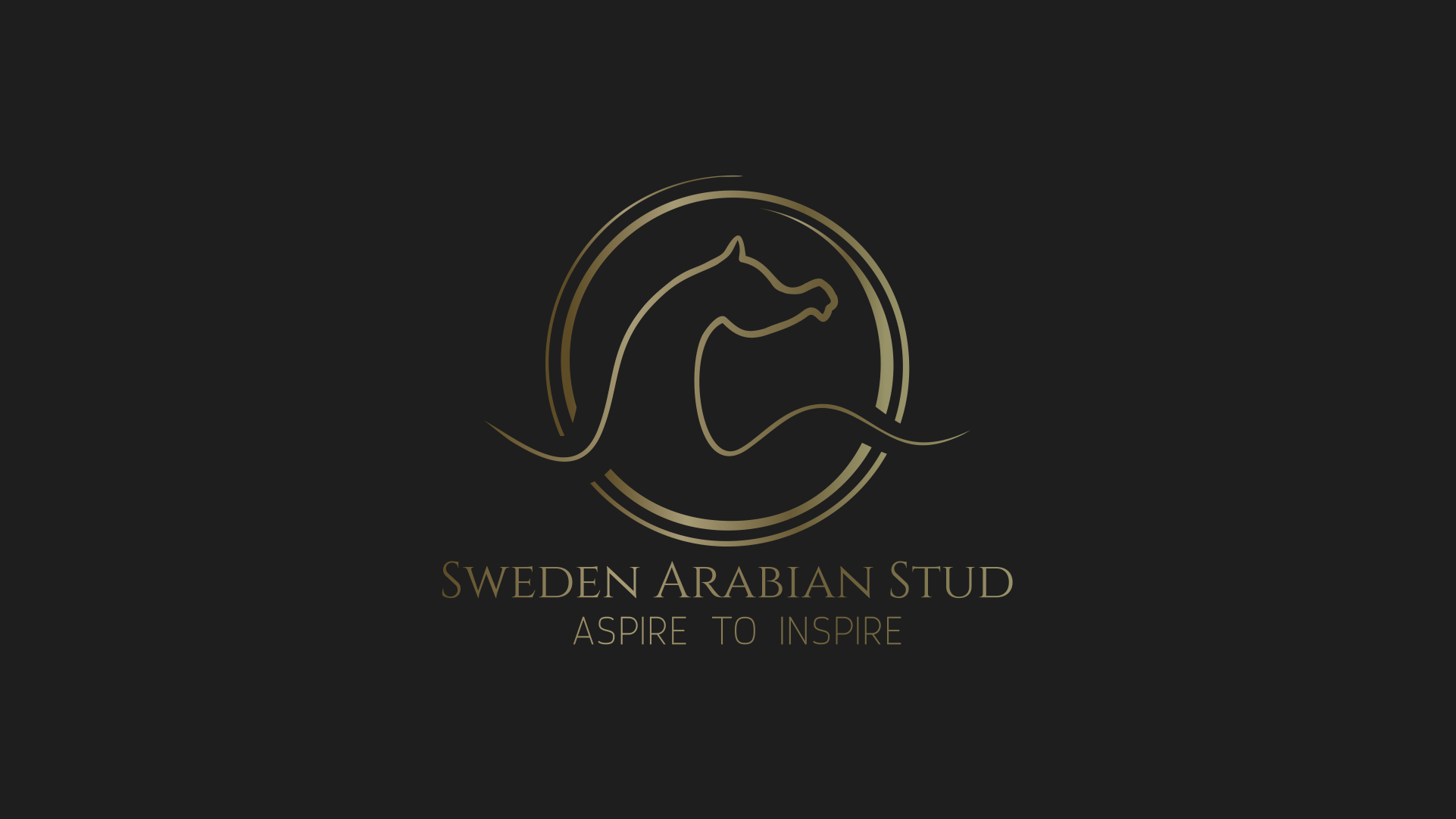 Sweden logo