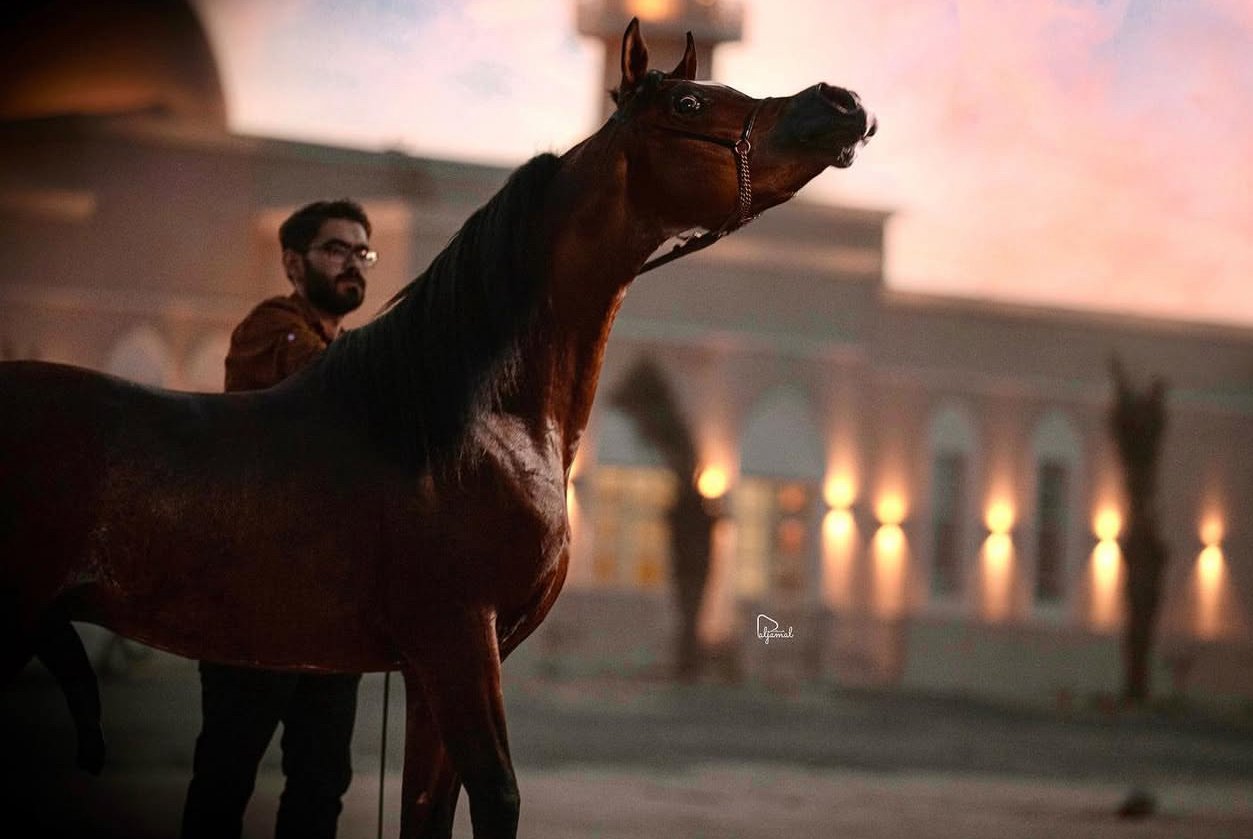 Sultan Barada - Kabd - Kuwait
