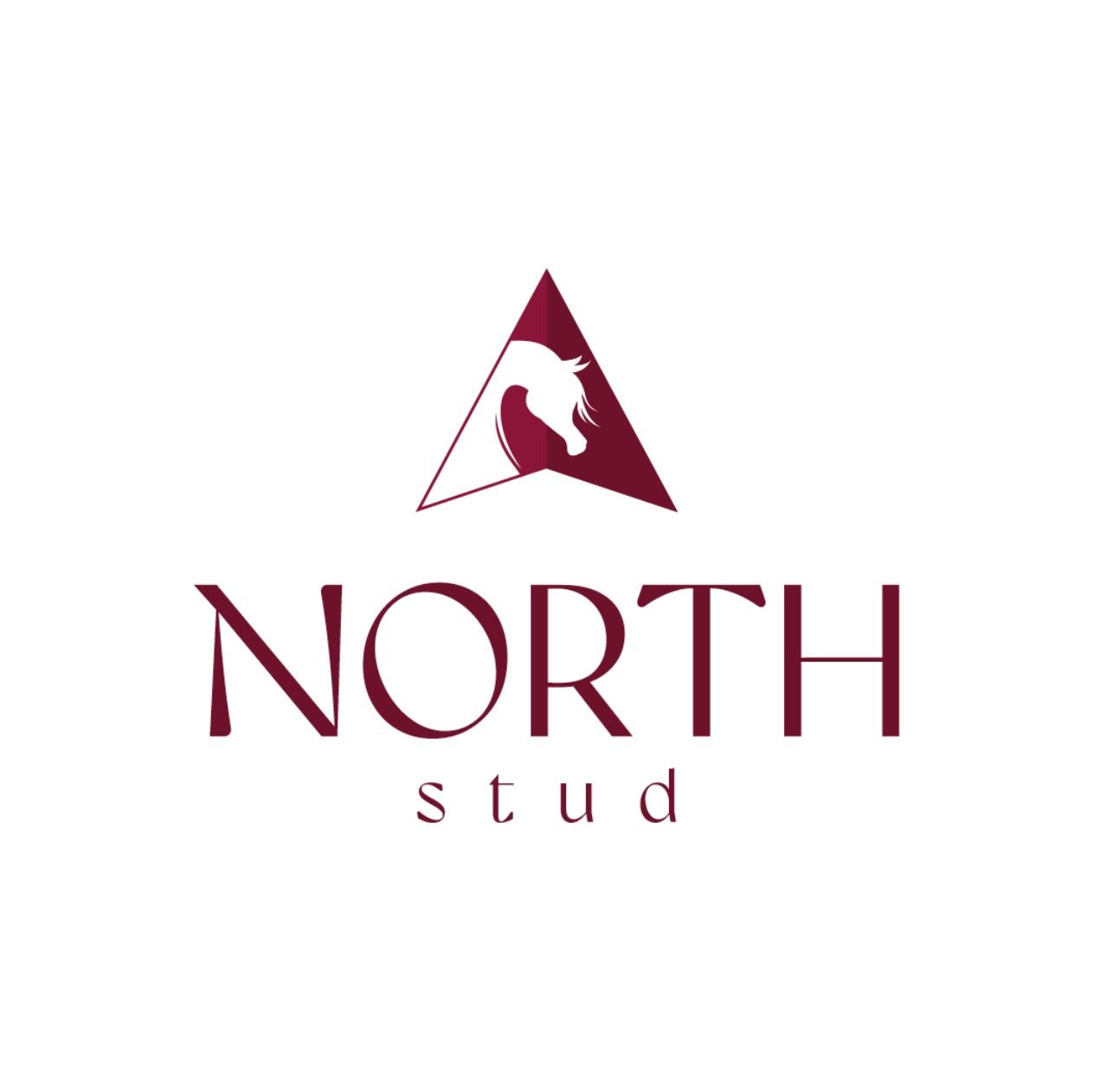 NORTH STUD LOGO