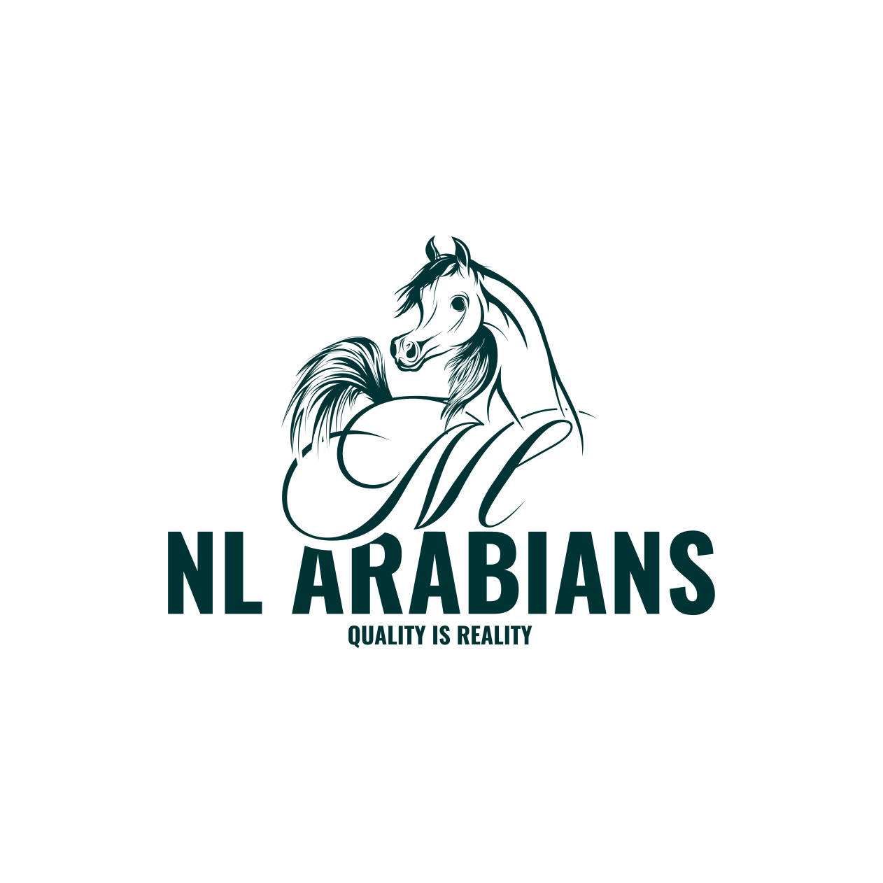 NL ARABIAN STUD LOGO