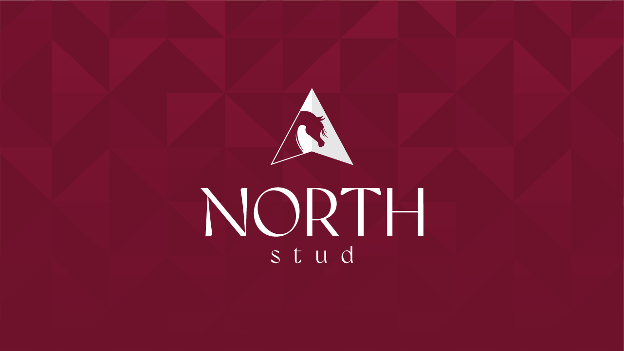 NORTH STUD LOGO