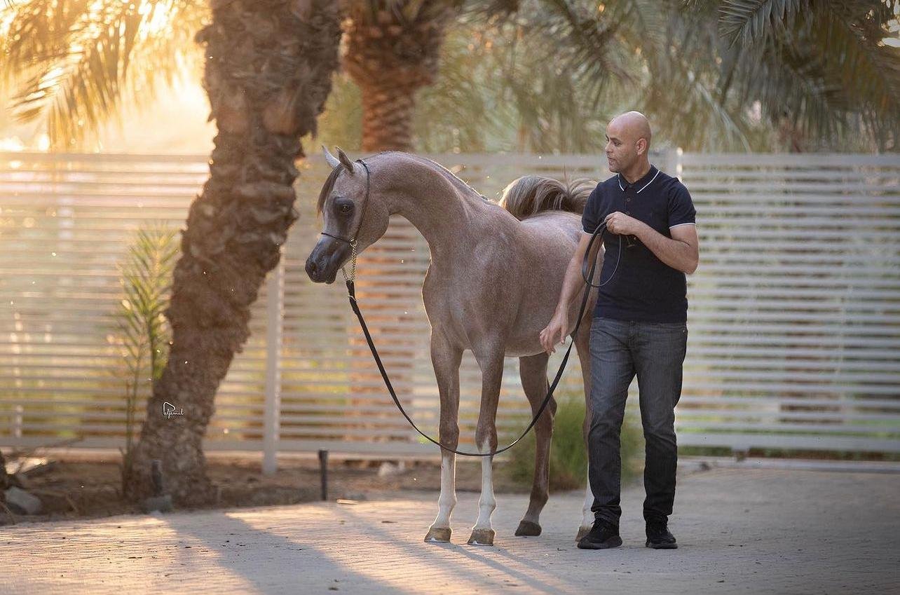 Kassar Raghdan - Wafraa - Kuwait
