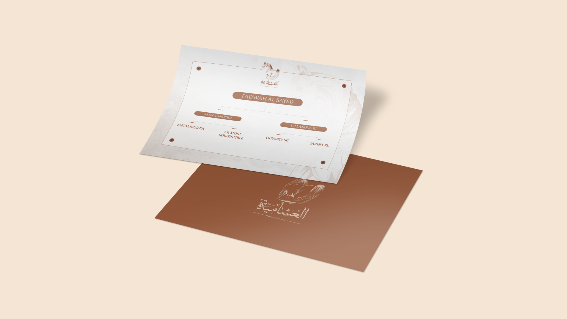AL GHASHAMAYIAH STUD LOGO