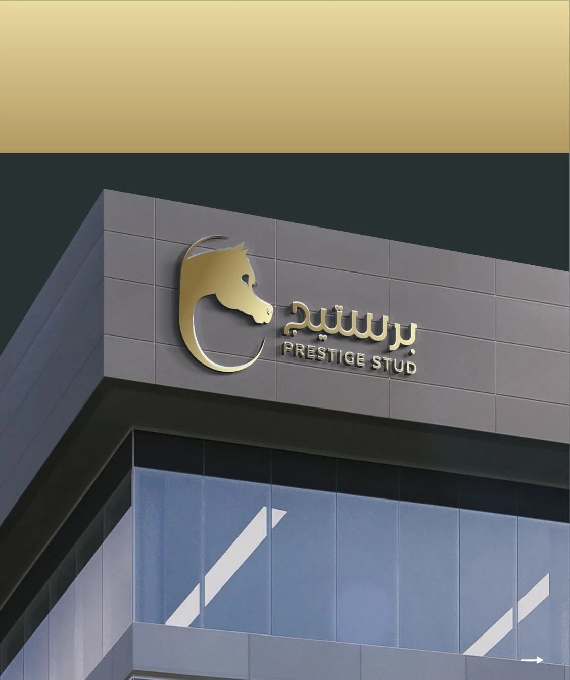 Prestige stud LOGO