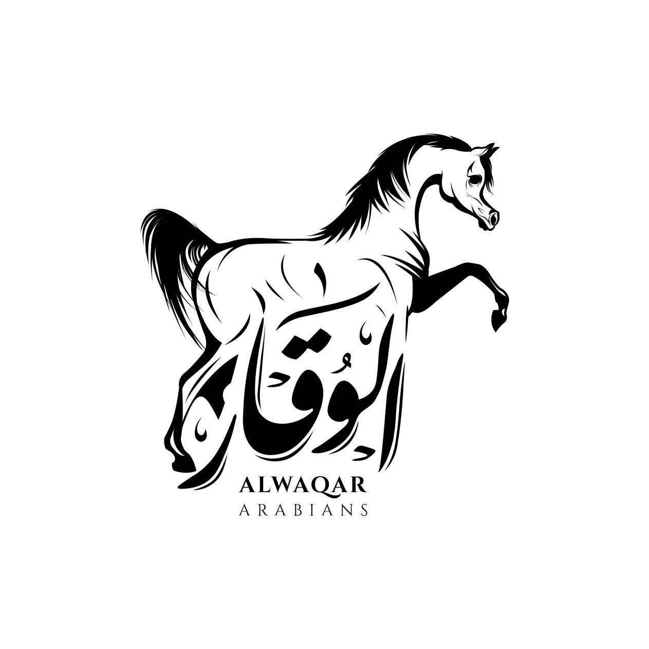 AL WAQAR STUD LOGO