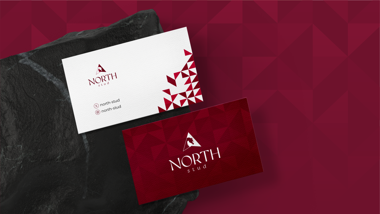 NORTH STUD LOGO