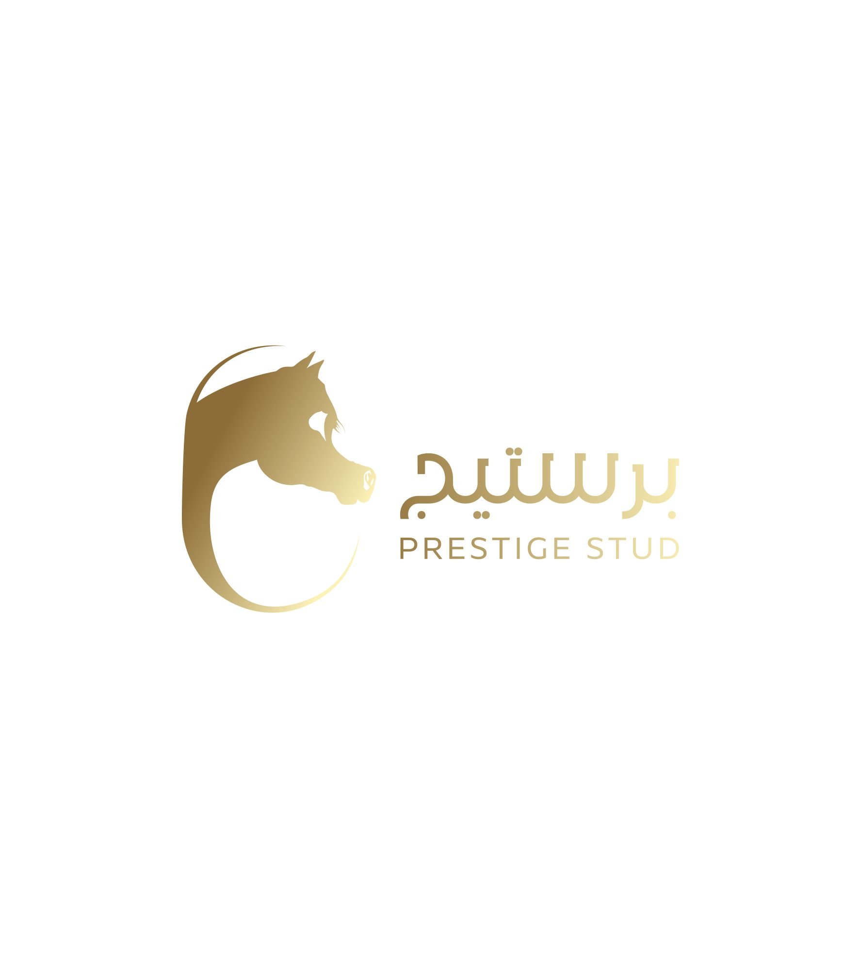 Prestige stud LOGO