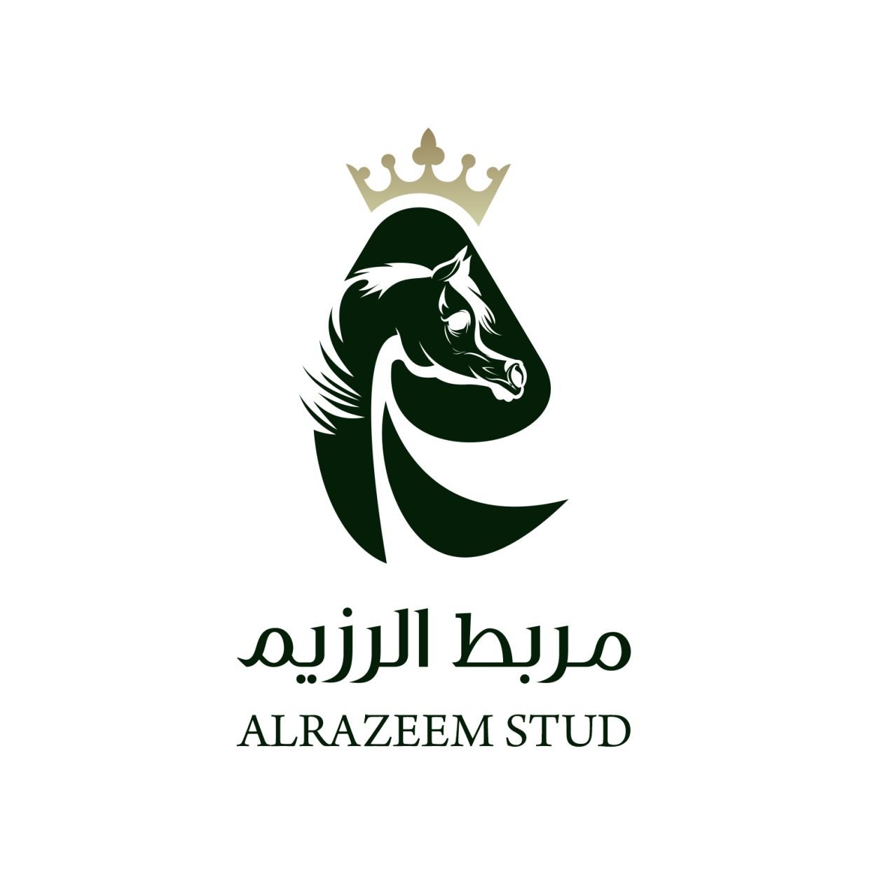 Al Razeem Stud LOGO
