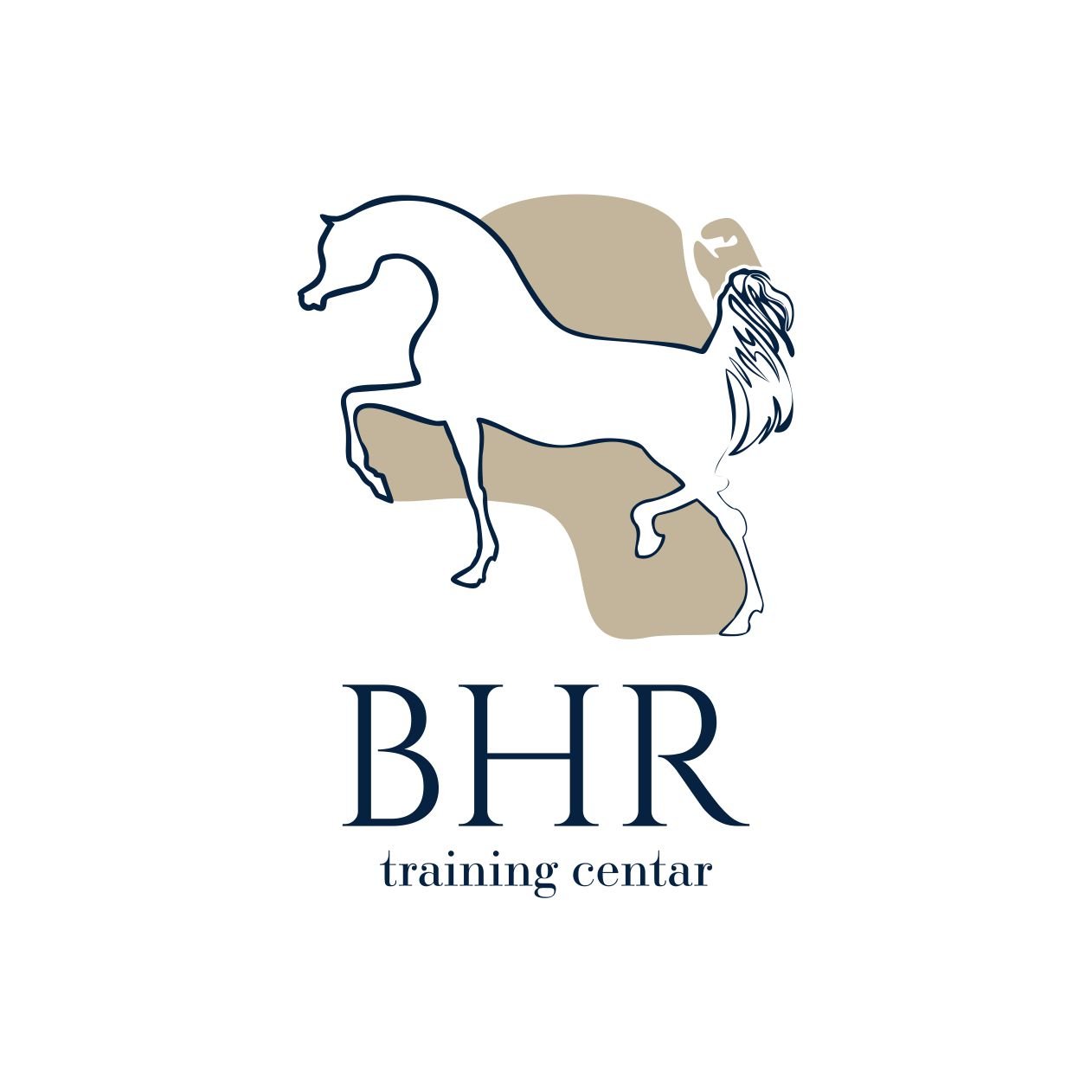 BHR TRANING CENTER LOGO