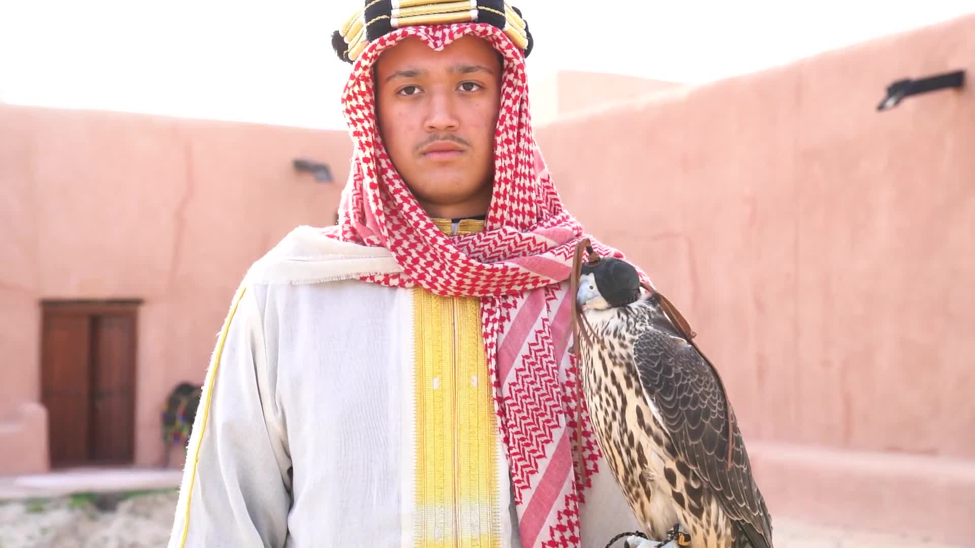 AL SHAJER Project